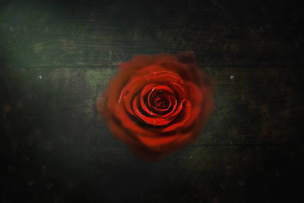 Photograph by Екатерина Козлова