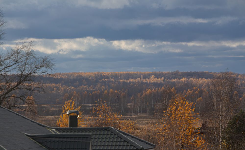 Фотография автора Алина Руденко