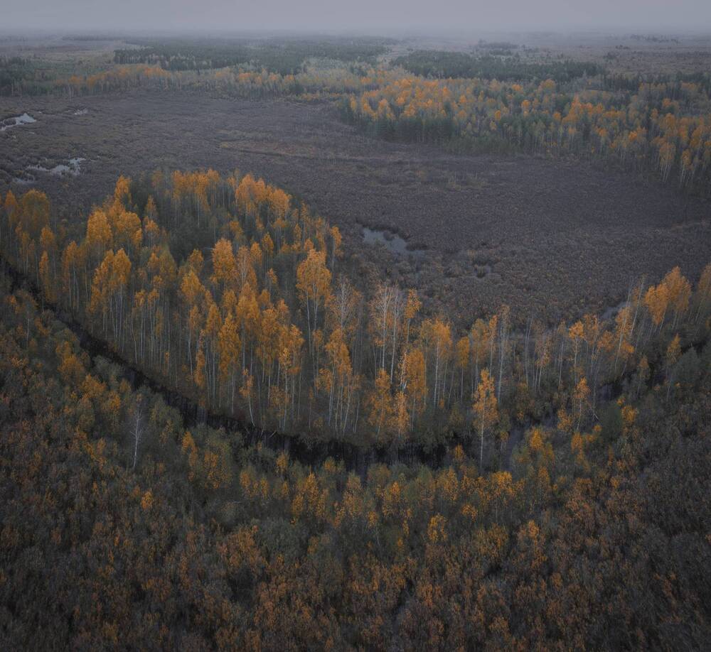 Фотография автора Лаврентьев Александр