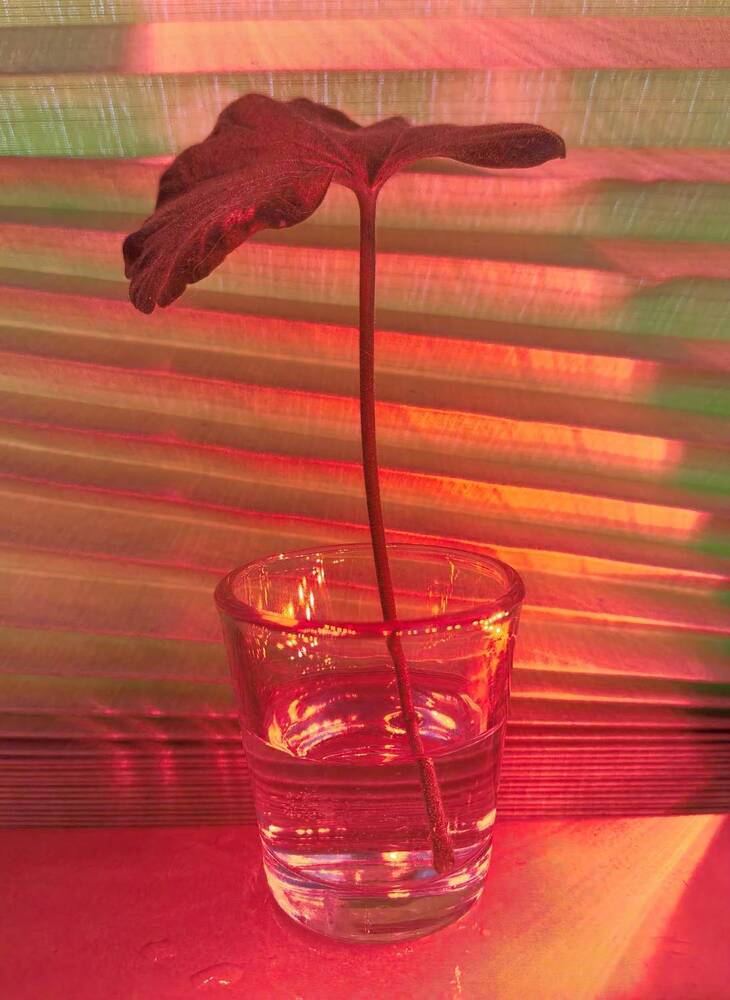 Photograph by Olga Kot