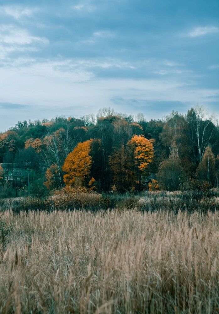 Фотография автора Алина Руденко