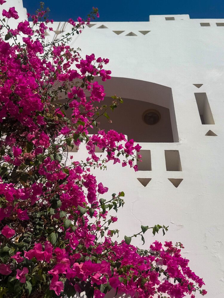 Photograph by Оксана Старостина