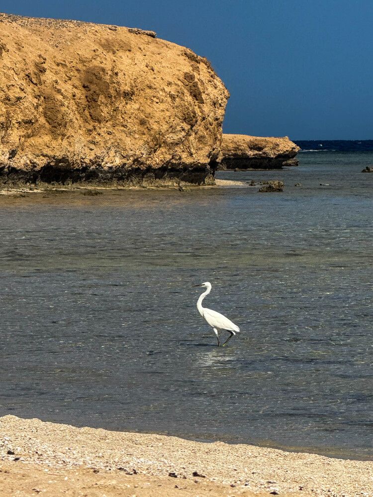 Photograph by Оксана Старостина