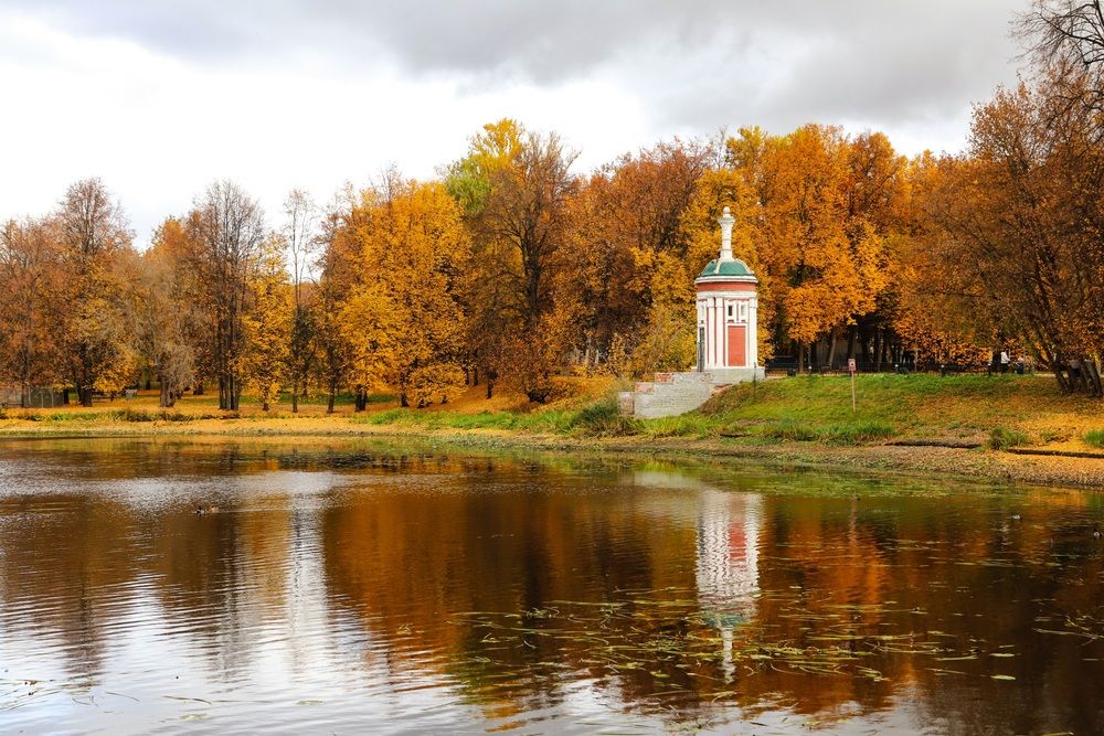 Photograph by Алла Никушкина