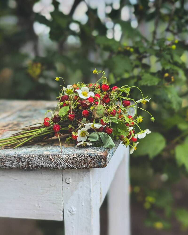 Photograph by Наталья Балабанова