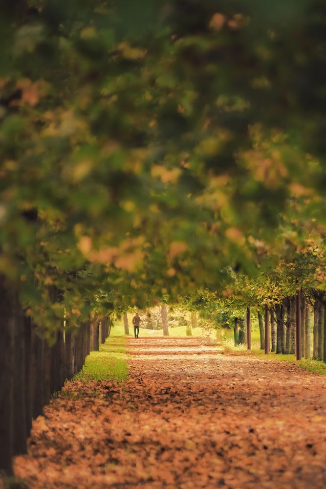 Photograph by Владимир Кульбит