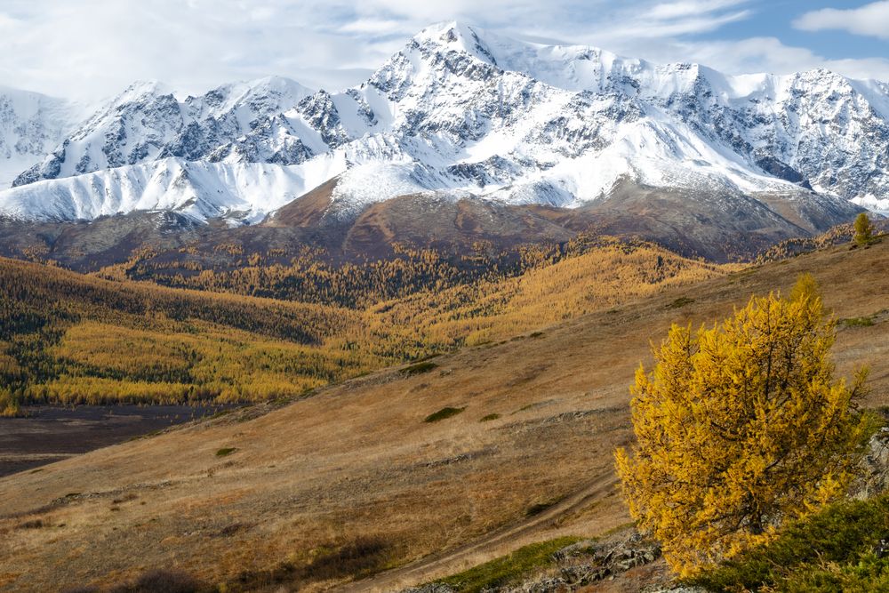 Photograph by Геннадий Кравченко