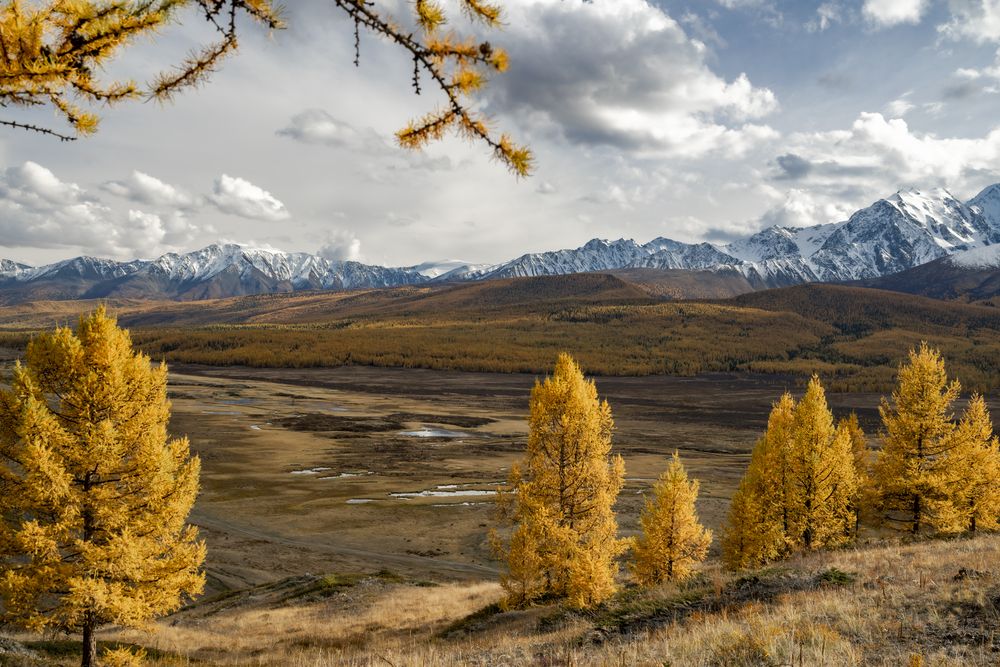 Photograph by Геннадий Кравченко