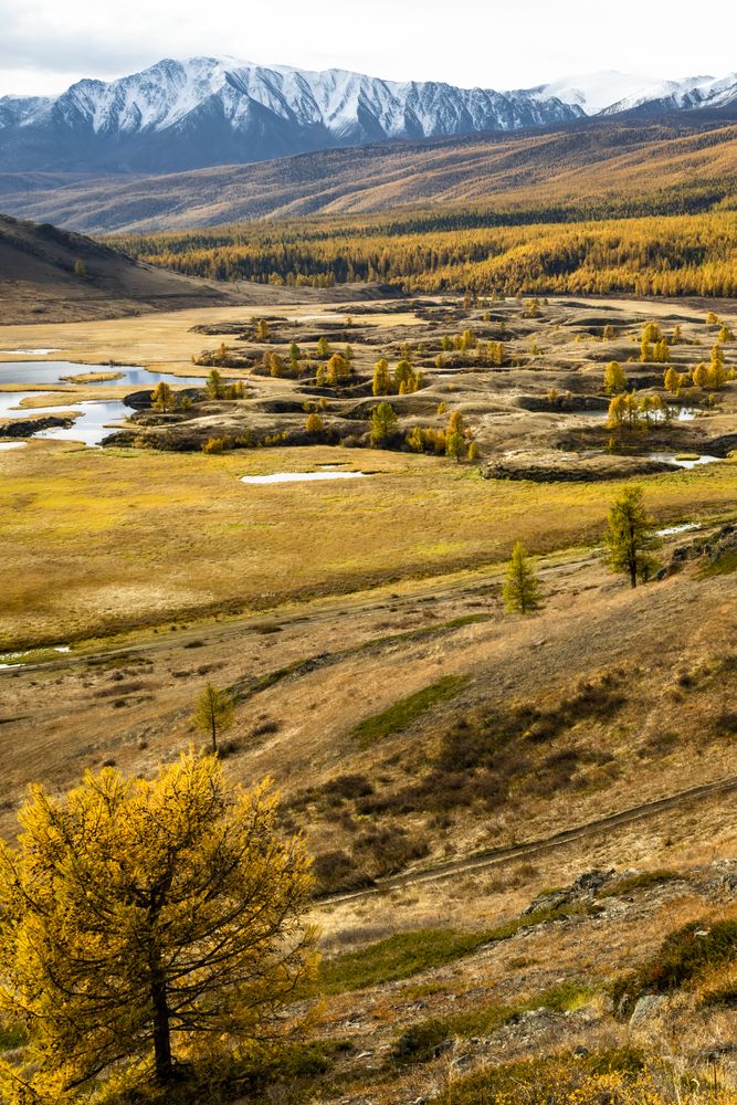 Photograph by Геннадий Кравченко