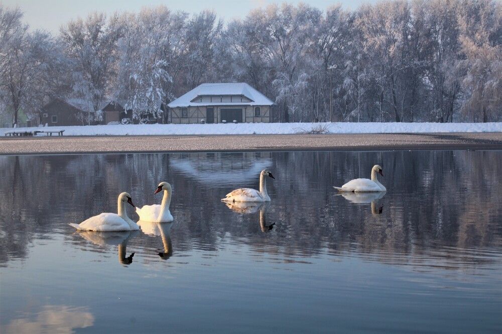 Photograph by Любовь Войводич