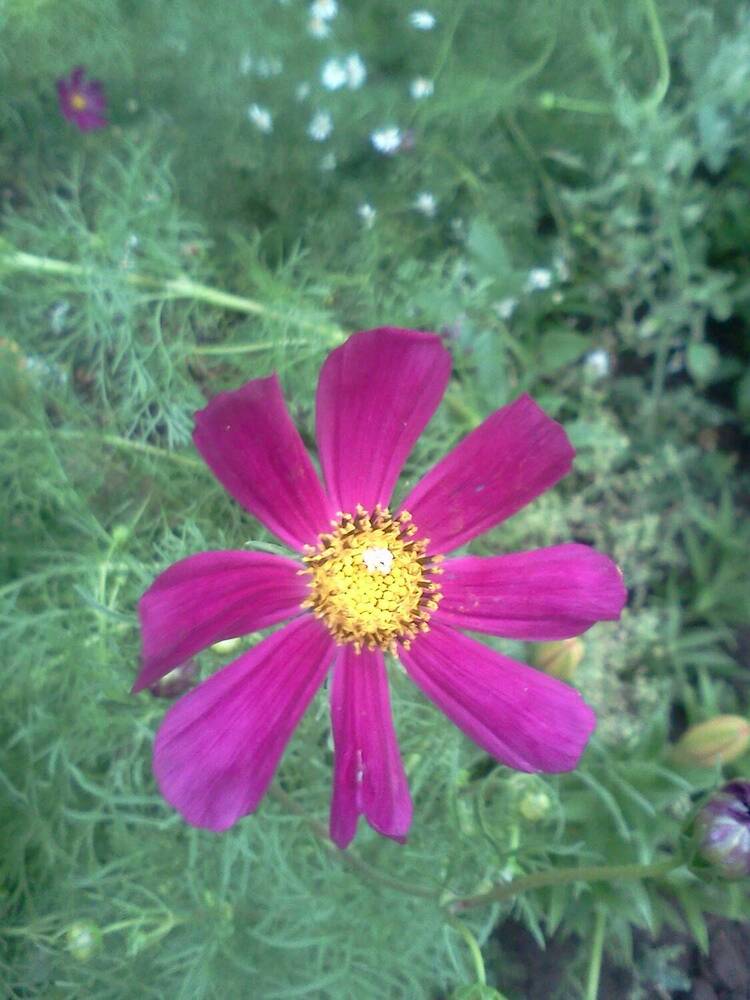 Photograph by карякина мария