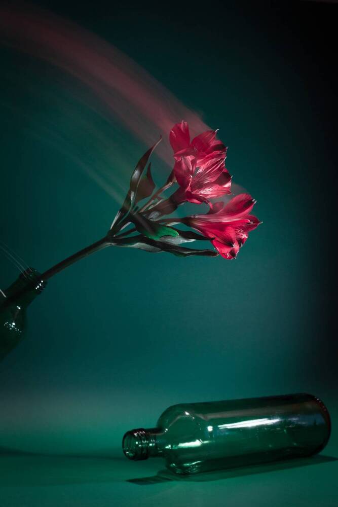 Photograph by Анна Брагина