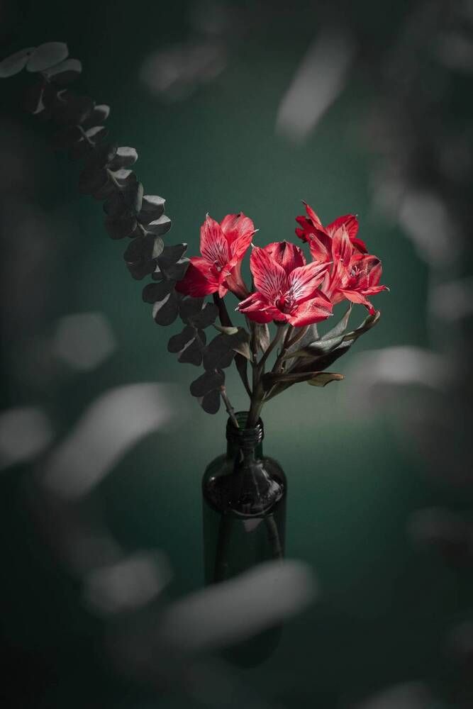 Photograph by Анна Брагина