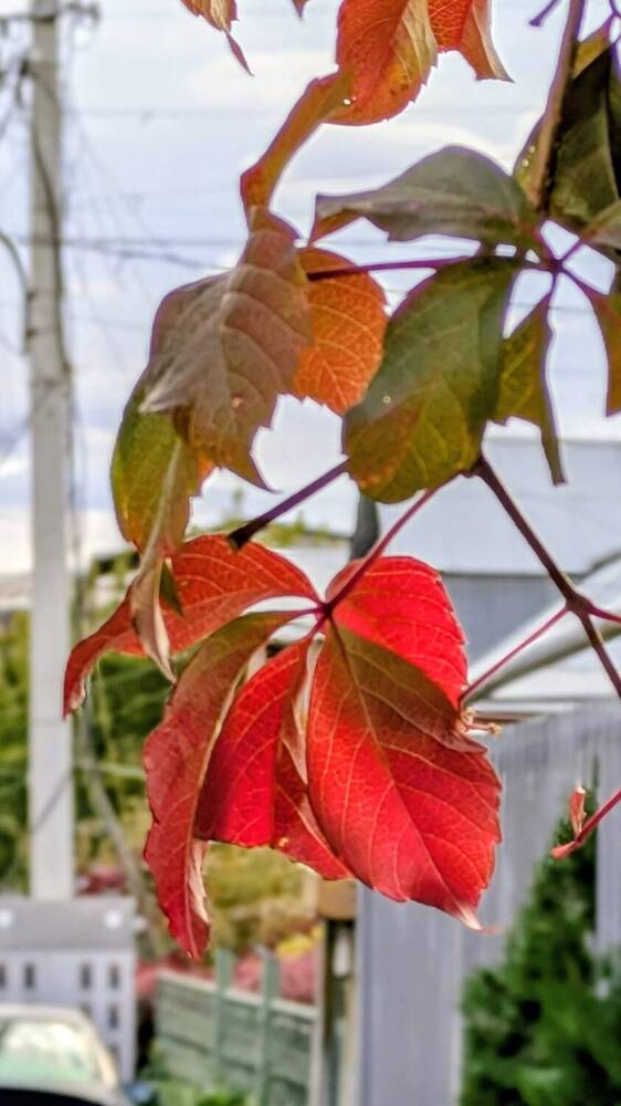 Photograph by Lilit Petrosyan