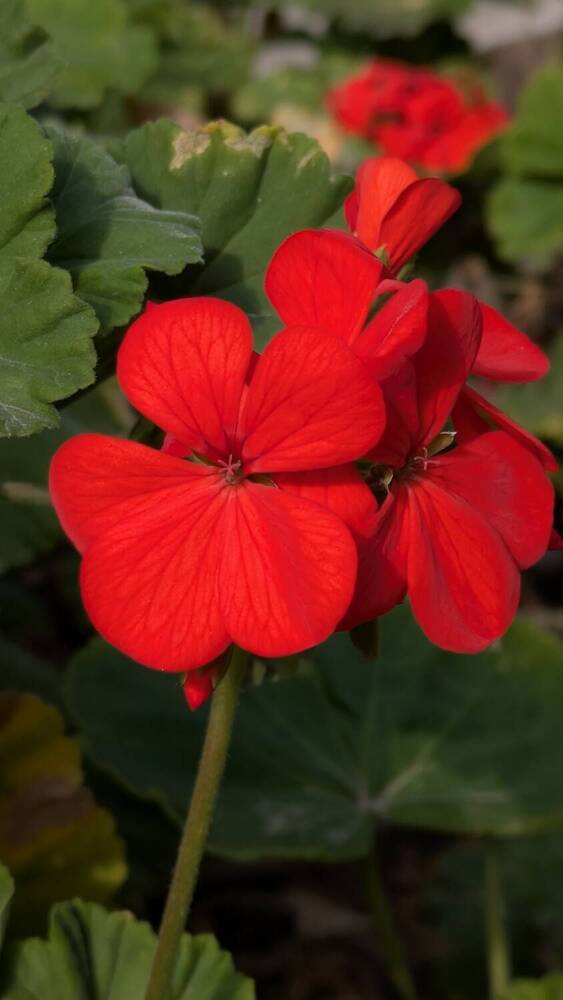 Photograph by Lilit Petrosyan