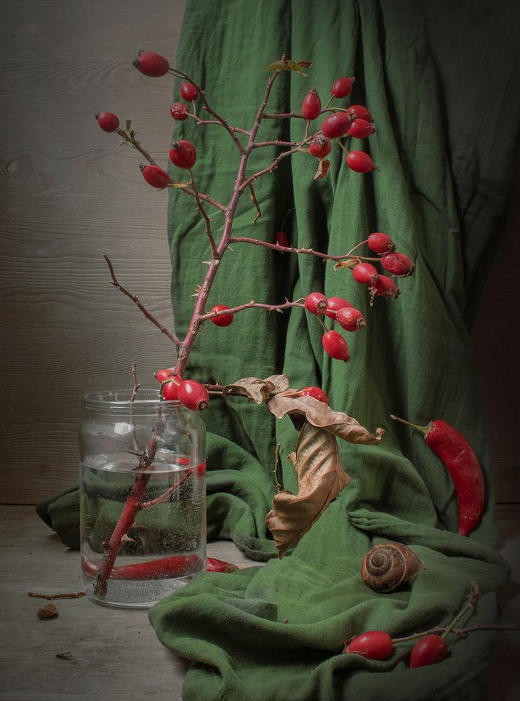 Фотография автора Шипунова Ирина