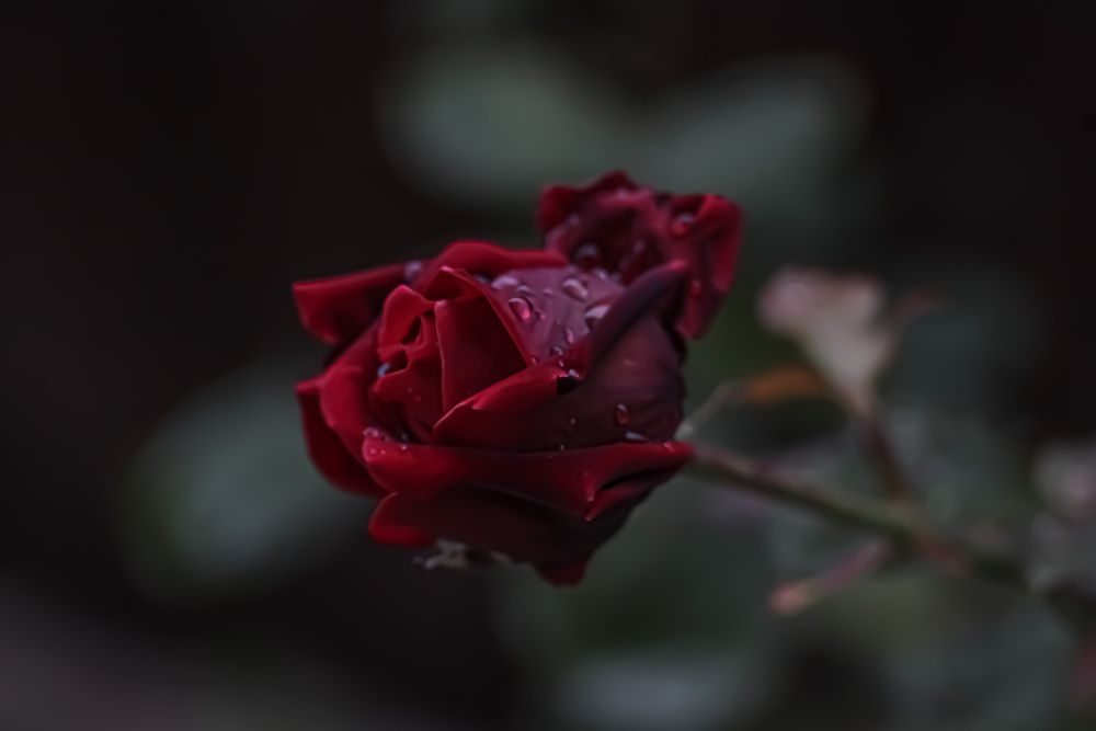 Фотография автора Георгий Машкин