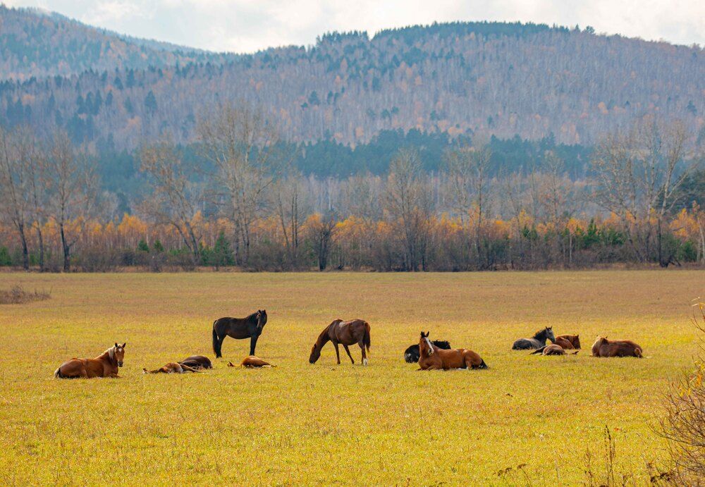 Фотография автора Егор Носов