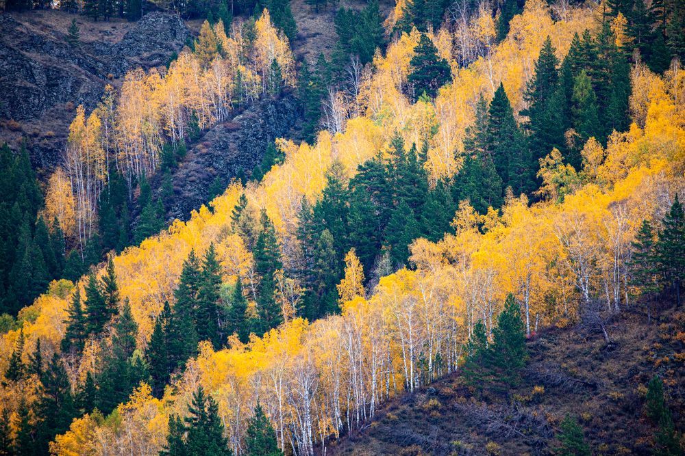 Фотография автора Егор Носов