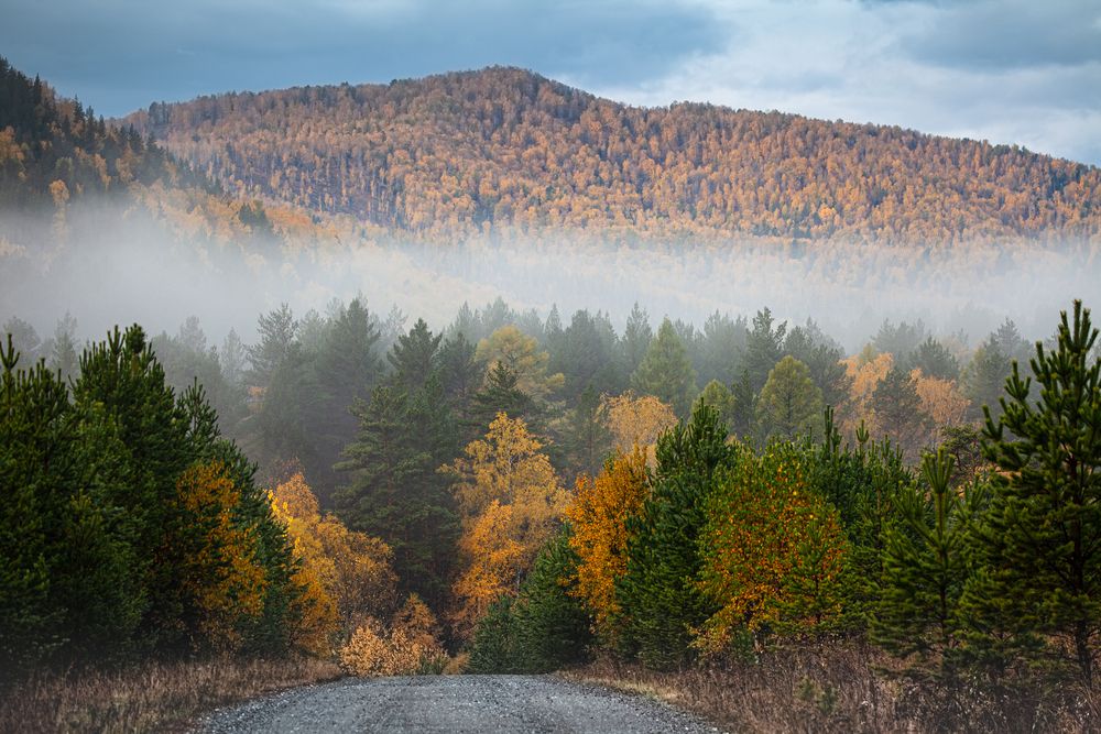 Фотография автора Егор Носов