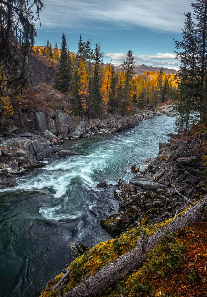 Photograph by Mark Devender