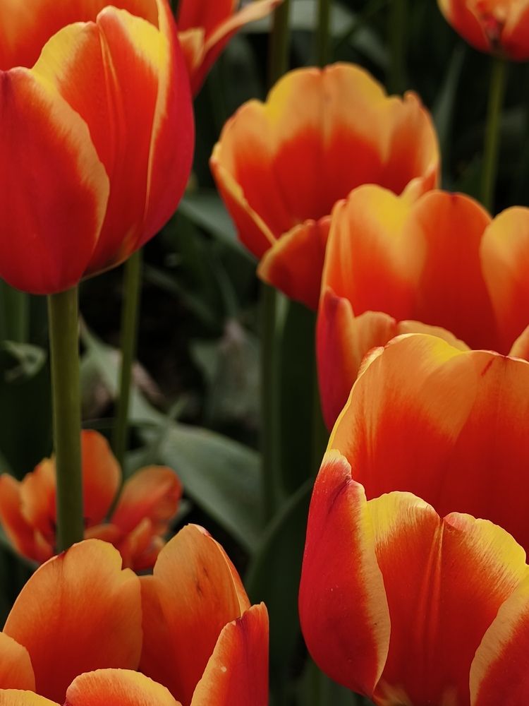 Photograph by Наталия