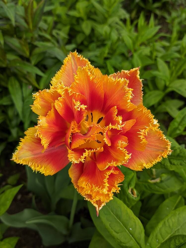 Photograph by Наталия