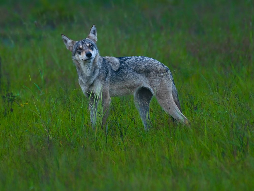 Photograph by Bhavesh Babre