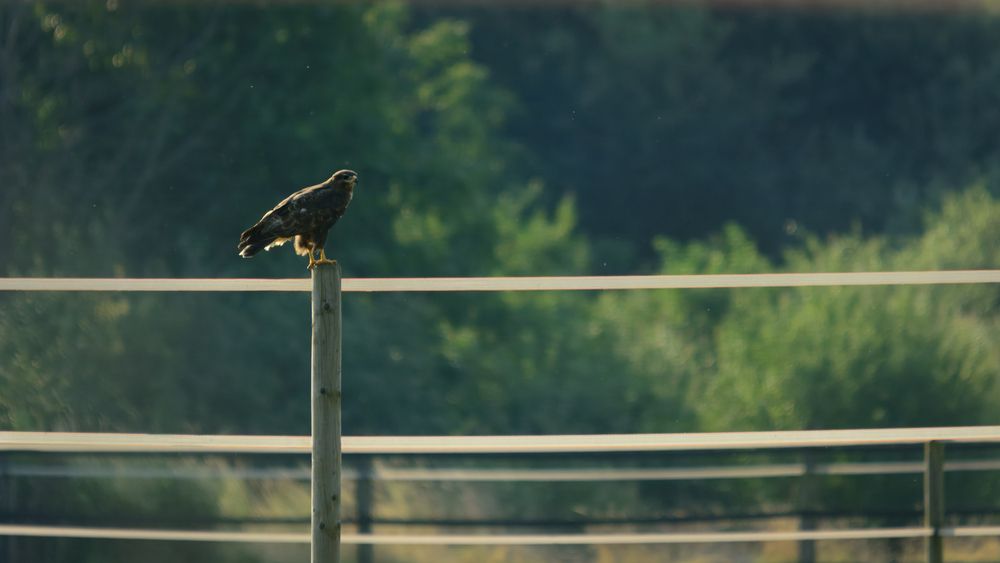 Photograph by Nicole Maria Wolff