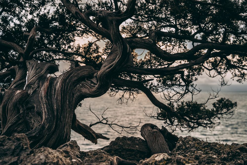 Photograph by Анастасия Оллилайнен