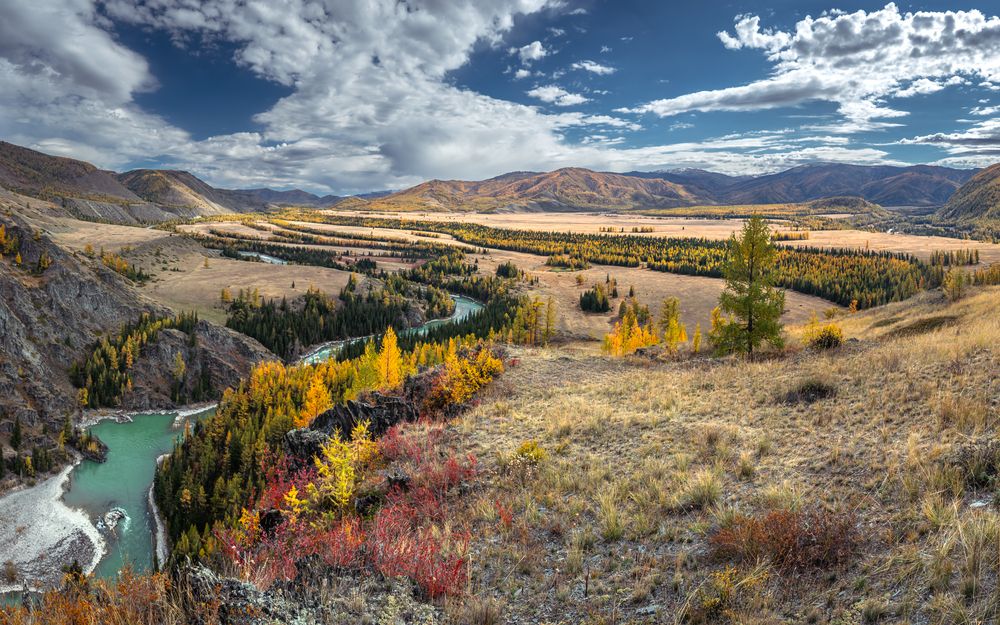 Photograph by Mark Devender