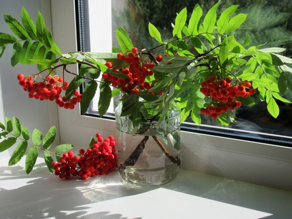 Photograph by Ольга Березовская