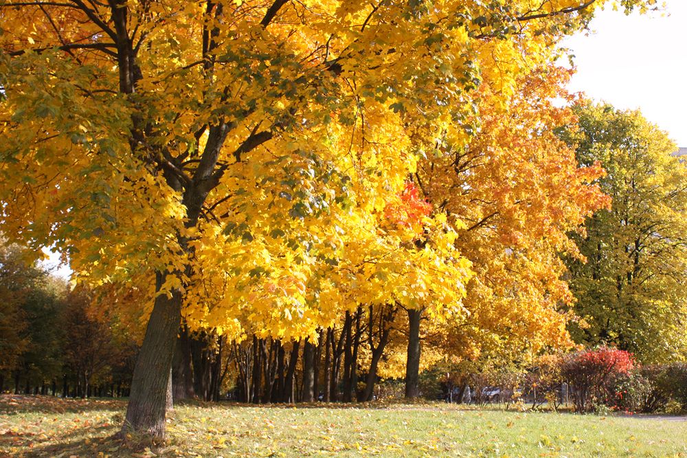 Photograph by Лилия Голд