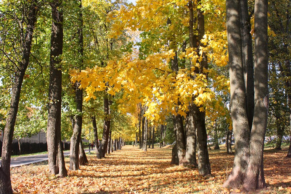 Photograph by Лилия Голд