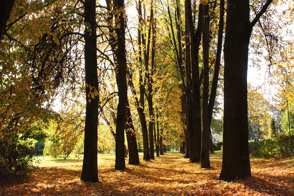 Photograph by Лилия Голд