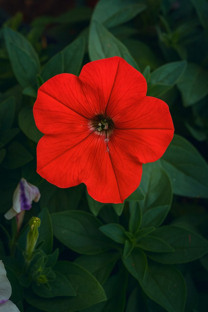 Photograph by Ambewadikar sourabh