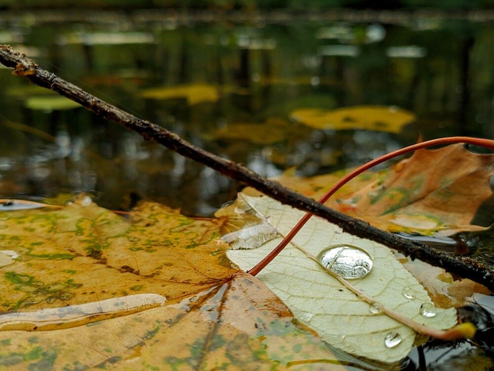 Photograph by Наталия