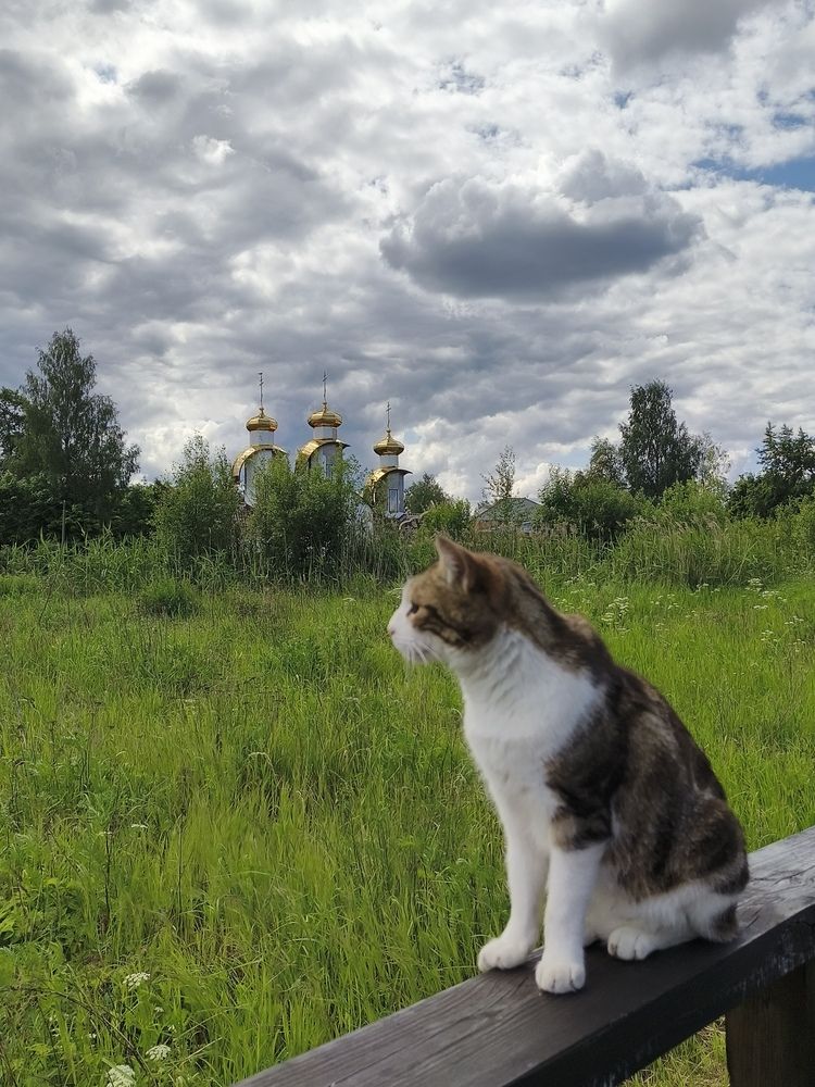 Photograph by Наталия