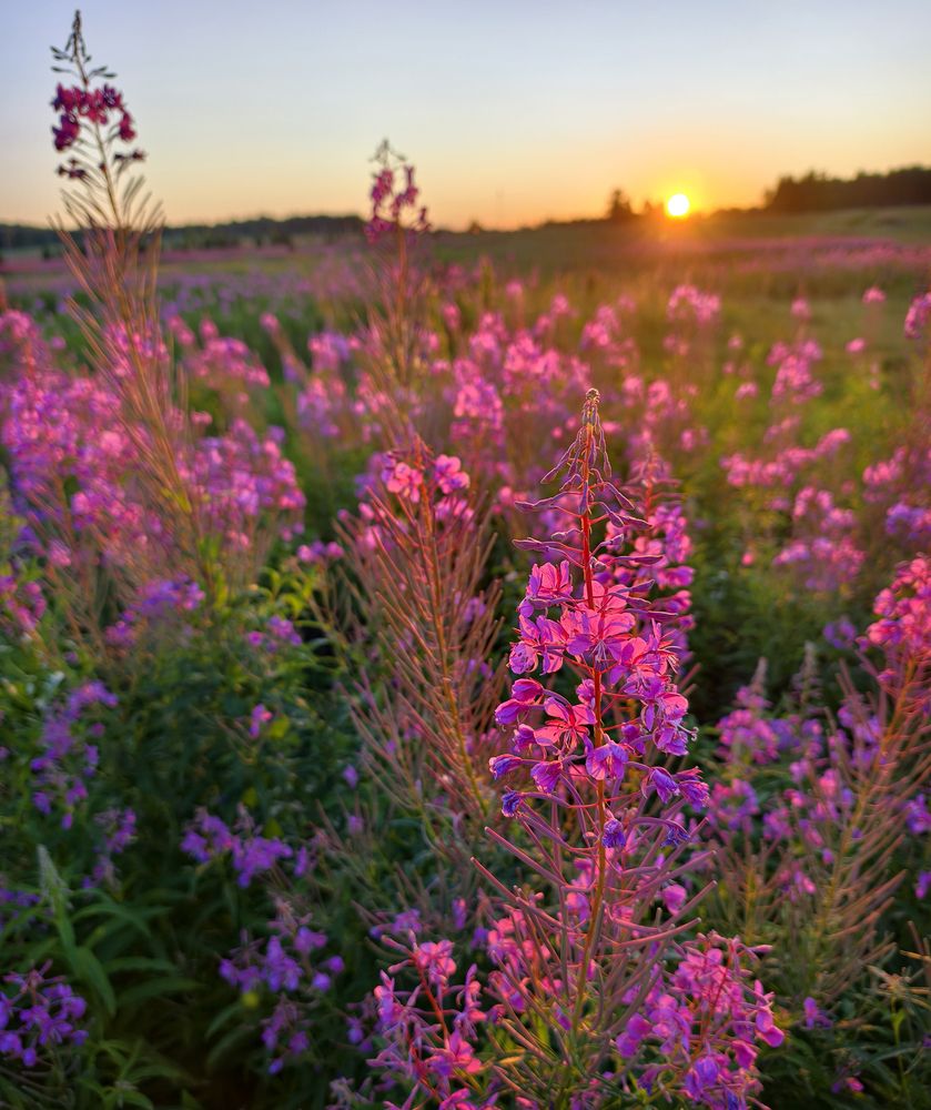 Фотография автора Кухта Мария