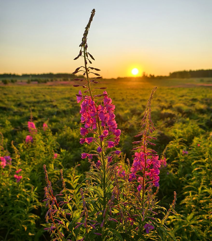 Фотография автора Кухта Мария
