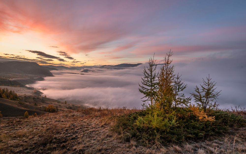 Photograph by Mark Devender