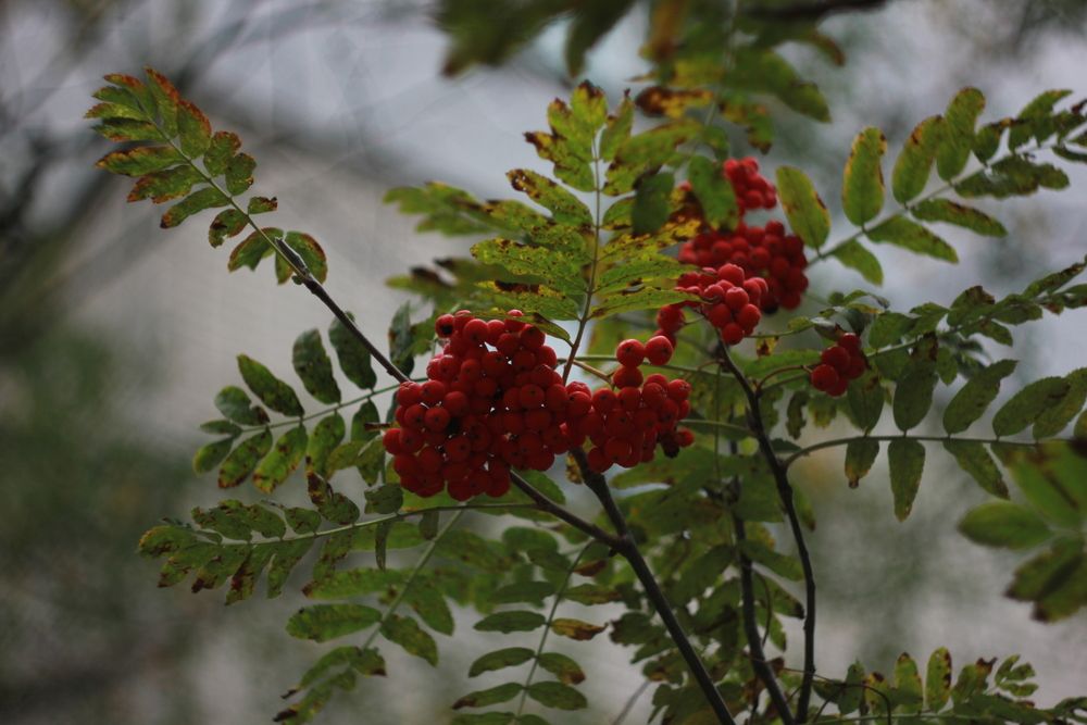 Photograph by Сергей Помелов