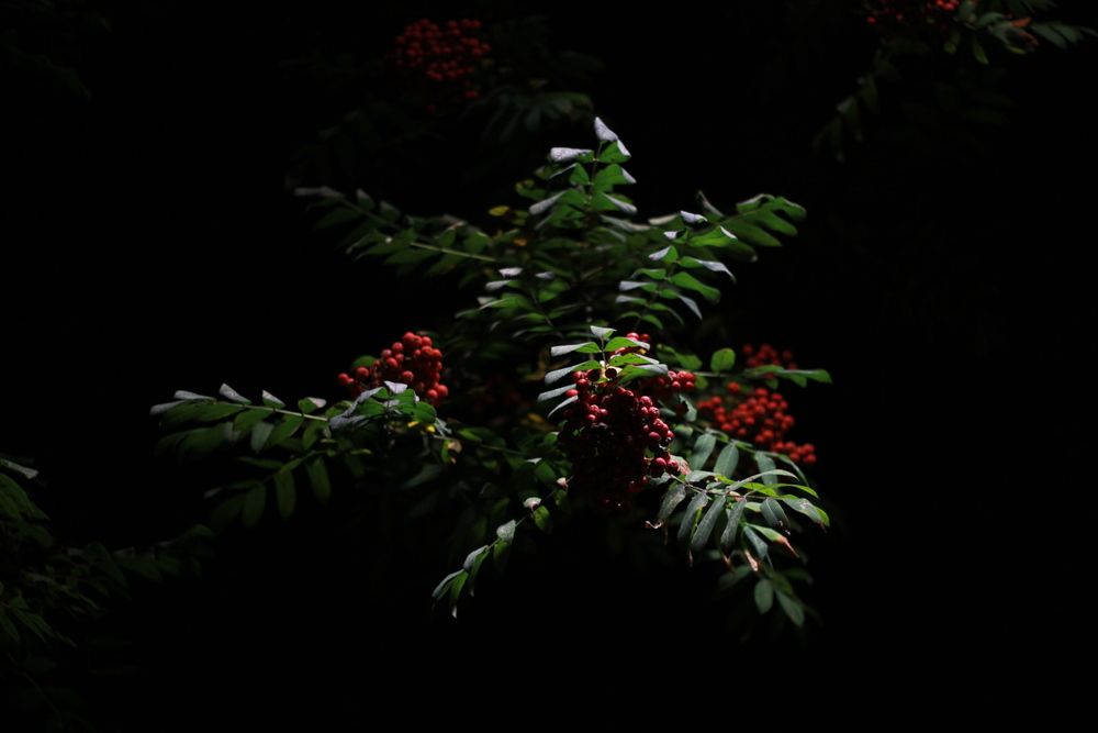 Photograph by Сергей Помелов