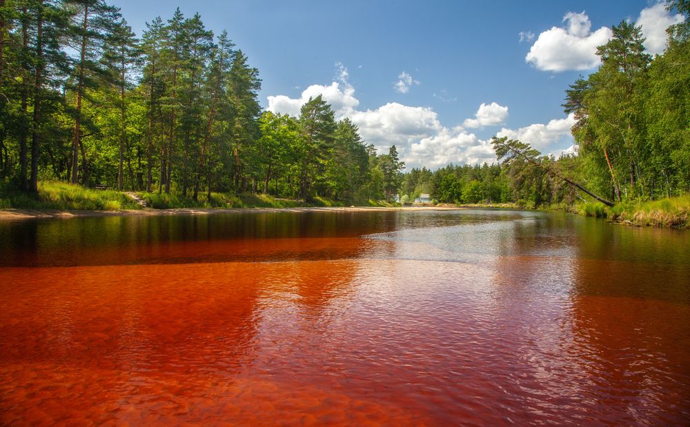 Photograph by Дмитрий Черепков