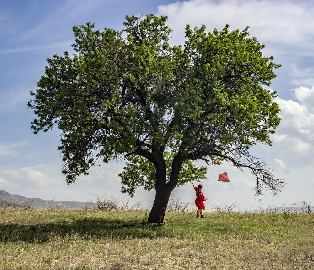 “The Red Within the Green”