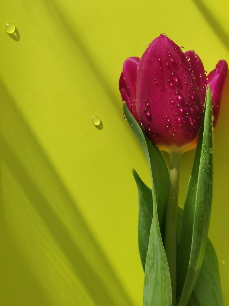 Photograph by Oxana Kostsova