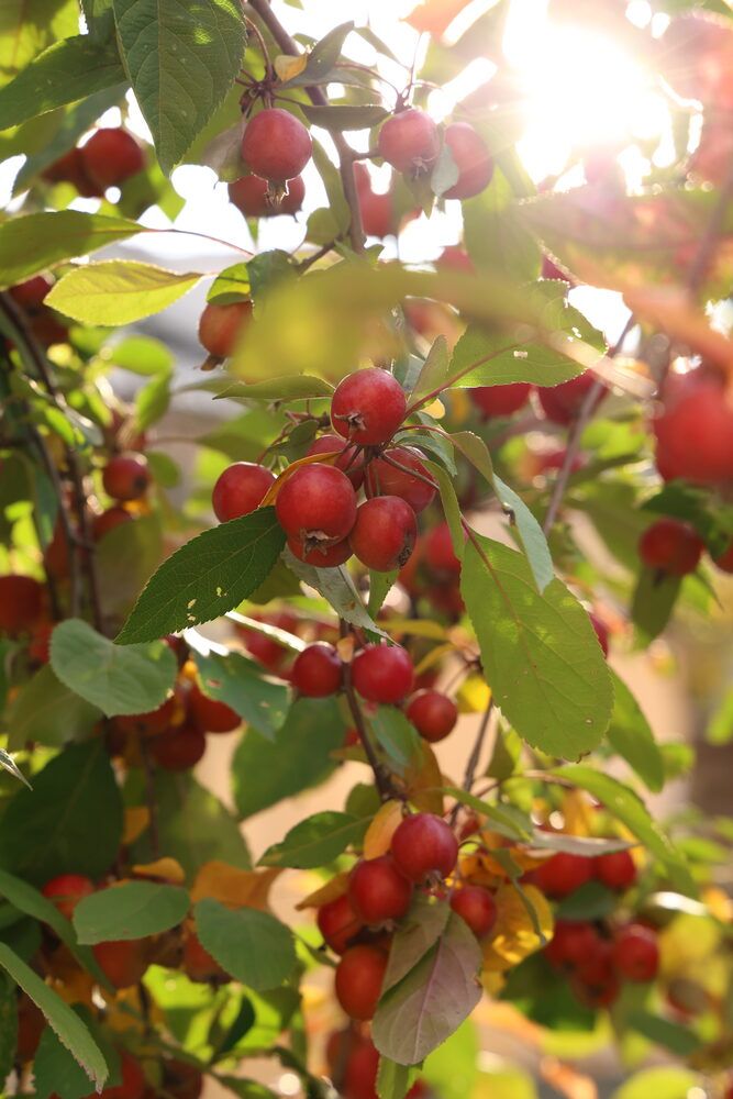 Photograph by Марина Иванникова