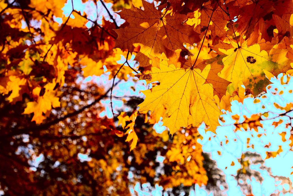 Photograph by Вячеслав Ват