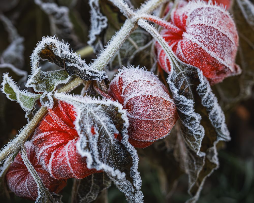Photograph by Ворожцова Марина