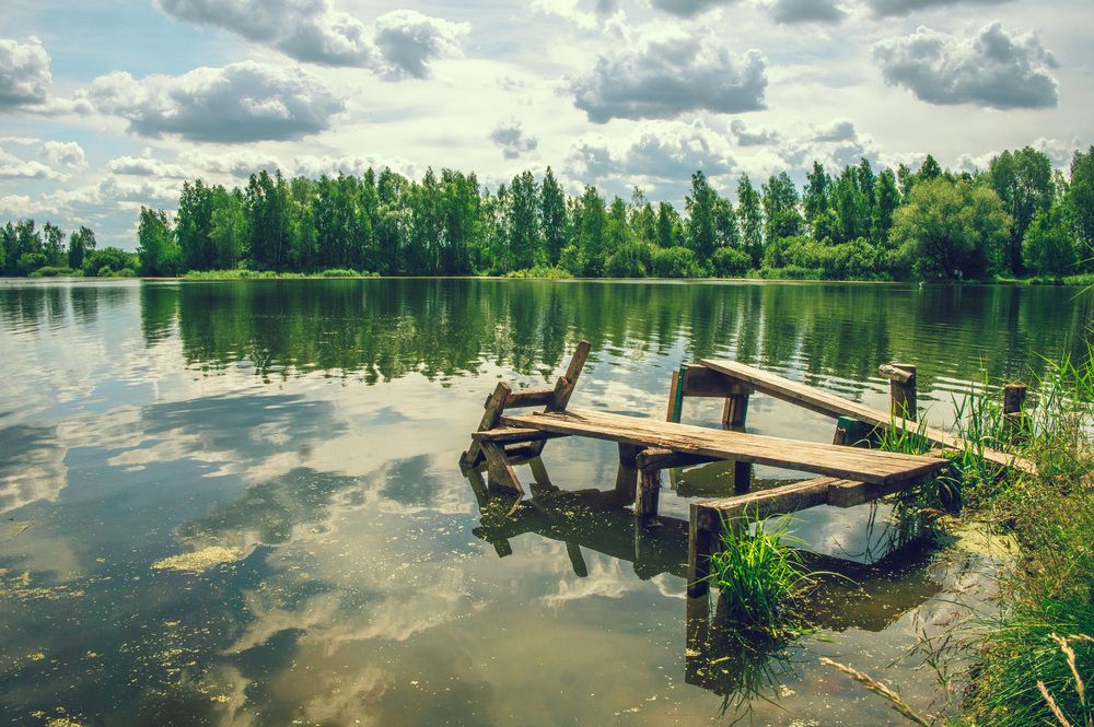 Photograph by Петр Жаринов